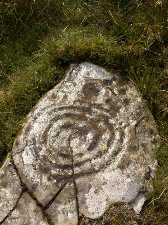 Cairnharrow (Cup and Ring Marks / Rock Art) by rockartwolf
