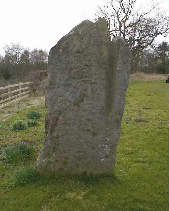 The Matfen Stone (Standing Stone / Menhir) by spoors599