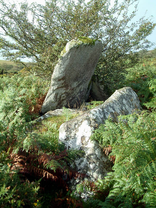 Bearah Common (Long Cairn) by Mr Hamhead