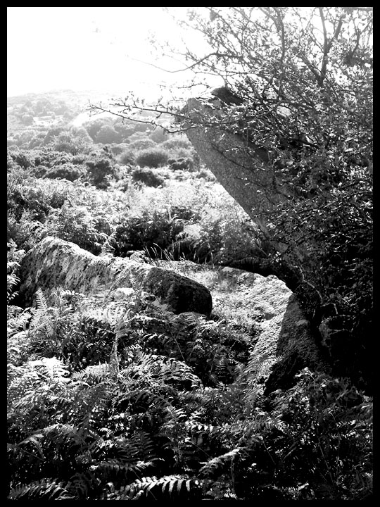 Bearah Common (Long Cairn) by Mr Hamhead