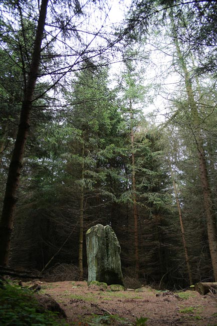 Bygate Hill (Standing Stone / Menhir) by Hob