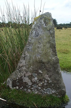 Gors Fawr (Stone Circle) by RiotGibbon