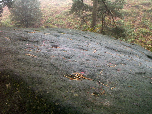 Willy Hall's Wood Stone (Cup and Ring Marks / Rock Art) by rockartwolf