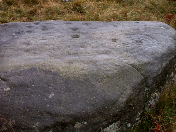 Barmishaw Stone (Cup and Ring Marks / Rock Art) by rockartwolf
