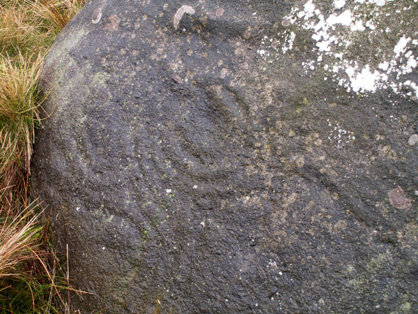 Little Badger Stone (Cup and Ring Marks / Rock Art) by rockartwolf