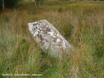 Maen Llwyd (Bronaber) (Standing Stone / Menhir) by Kammer
