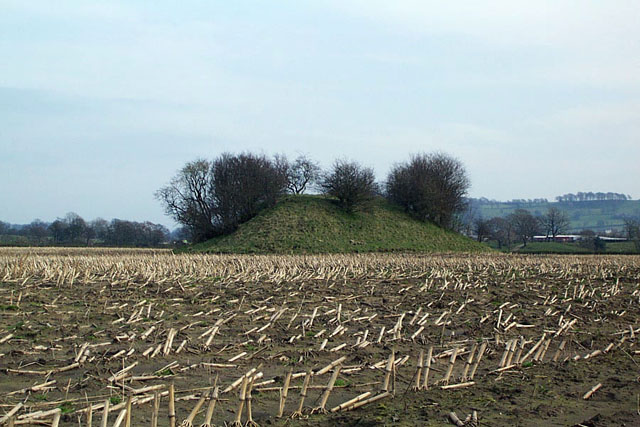 Loe Hill (Round Barrow(s)) by IronMan