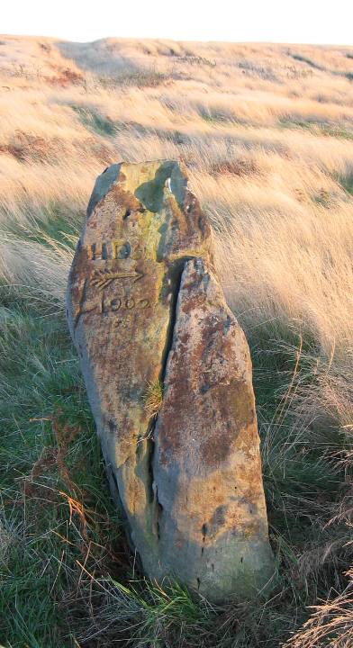 Grey Horse Stone (Standing Stone / Menhir) by fitzcoraldo