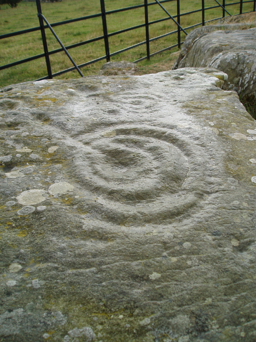 Drumtroddan Carved Rocks (Cup and Ring Marks / Rock Art) by pebblesfromheaven