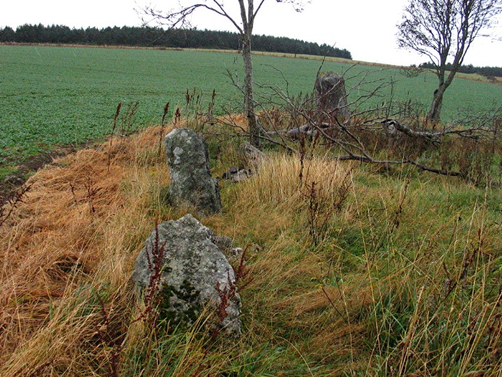 Druidstones (Stone Circle) by greywether