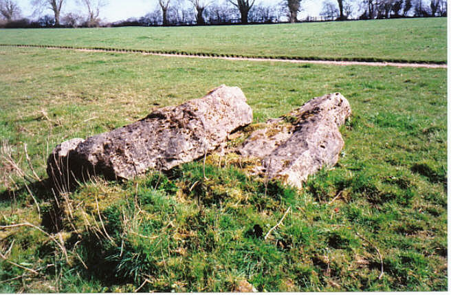 Goose Stones (Standing Stone / Menhir) by hamish