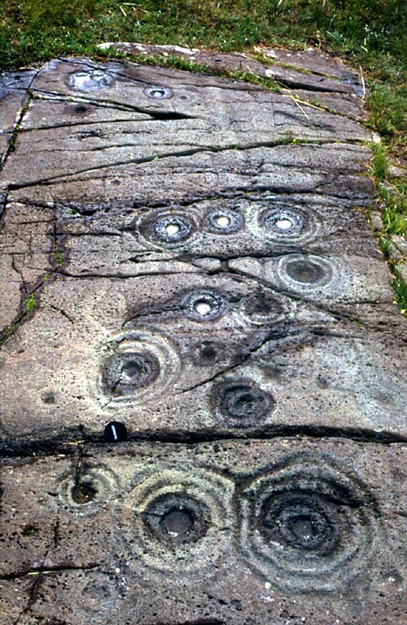Cairnbaan (Cup and Ring Marks / Rock Art) by bridgit