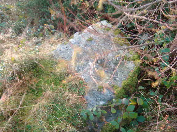 Burgesbeg (Standing Stones) by bawn79