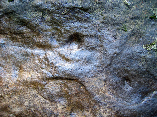 Wellhope (Cup and Ring Marks / Rock Art) by rockandy