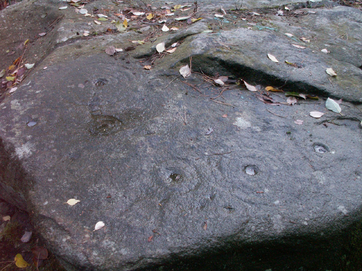 Panorama Stone (Cup and Ring Marks / Rock Art) by rockartwolf