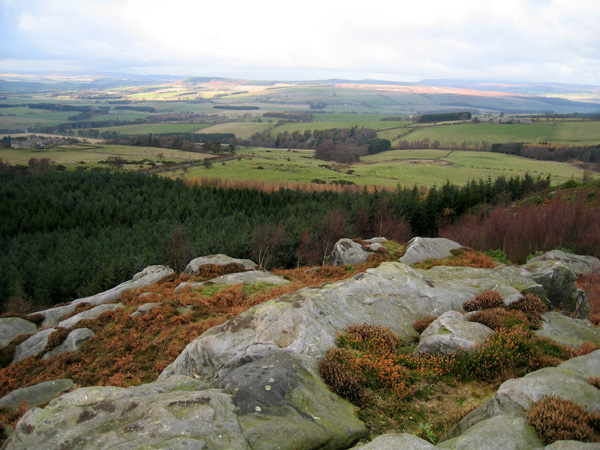 Lamp Hill (Cup Marked Stone) by rockandy