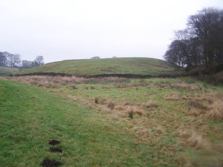 Round Hill (Ancient Village / Settlement / Misc. Earthwork) by treehugger-uk