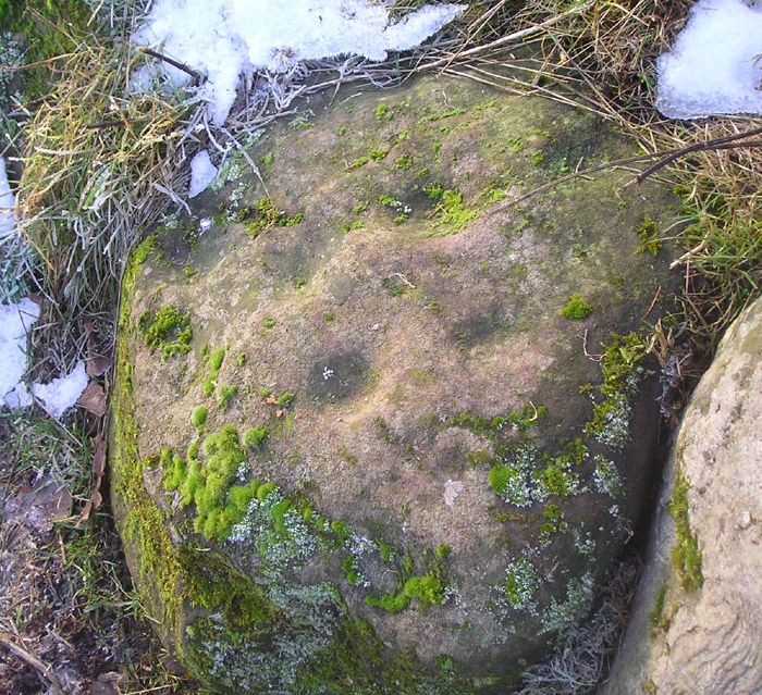 Dove Craig (Cup Marked Stone) by tiompan
