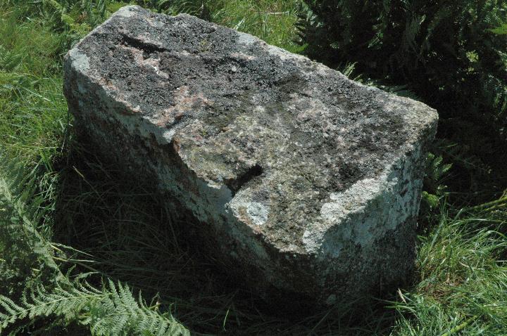 Brisworthy Stone Circle (Stone Circle) by Moth