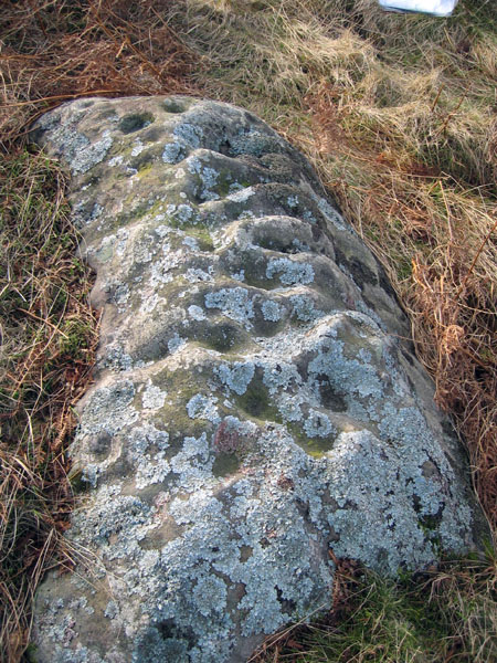 Heddon Hill (Cup Marked Stone) by rockandy