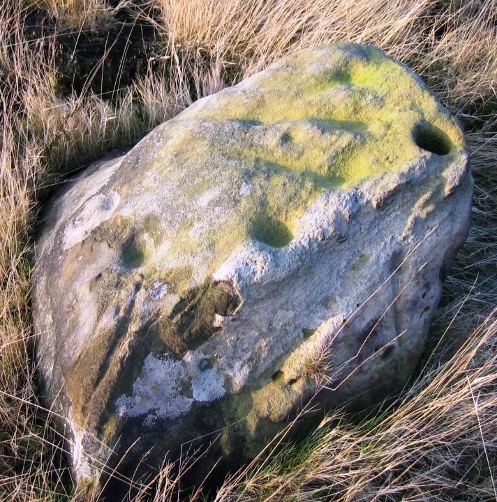 Fylingdales Moor (Cup and Ring Marks / Rock Art) by fitzcoraldo