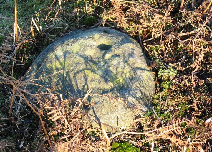 Allan Tofts, Goathland (Cup and Ring Marks / Rock Art) by fitzcoraldo