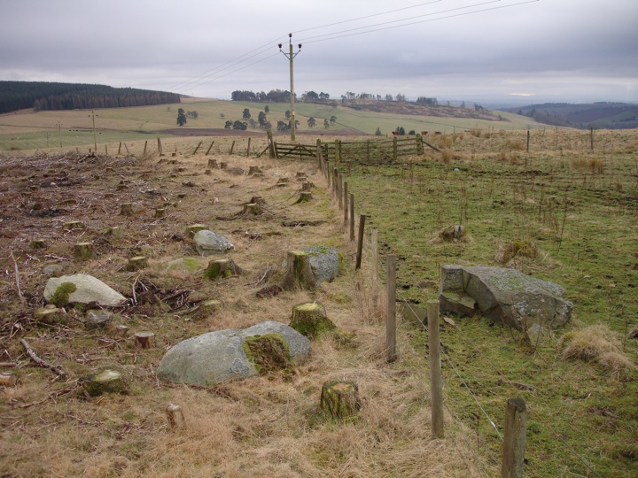 Hill of Drimmie Stone Circle (Stone Circle) by BigSweetie