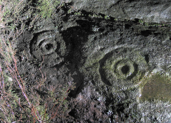 Millstone Burn (Cup and Ring Marks / Rock Art) by rockandy