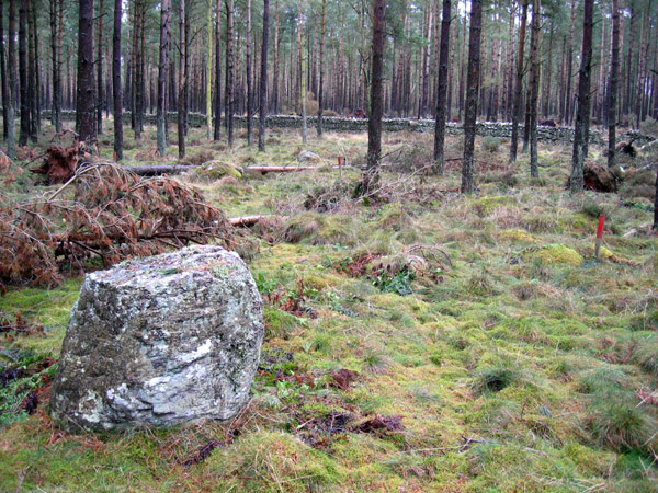Broomrigg (Stone Circle) by rockandy