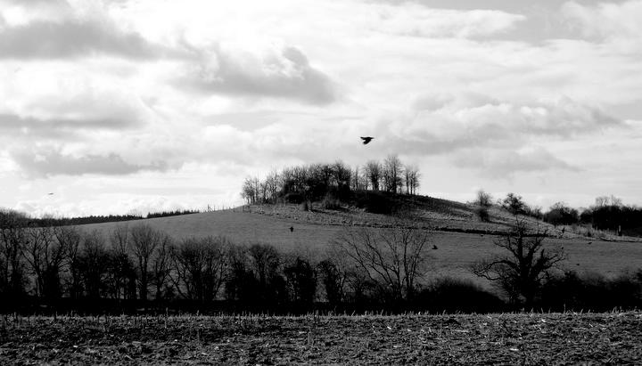 Titters Hill (Round Barrow(s)) by Ike