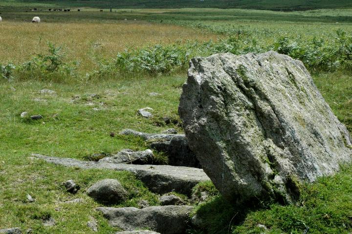 Drizzlecombe Megalithic Complex by Moth