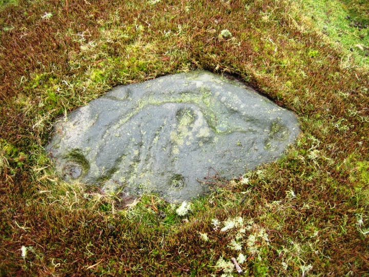 Allan Tofts, Goathland (Cup and Ring Marks / Rock Art) by fitzcoraldo