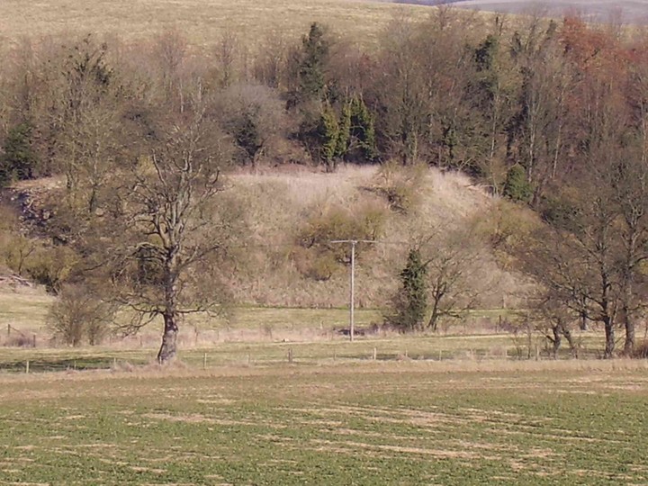 Silbaby (Artificial Mound) by Cursuswalker