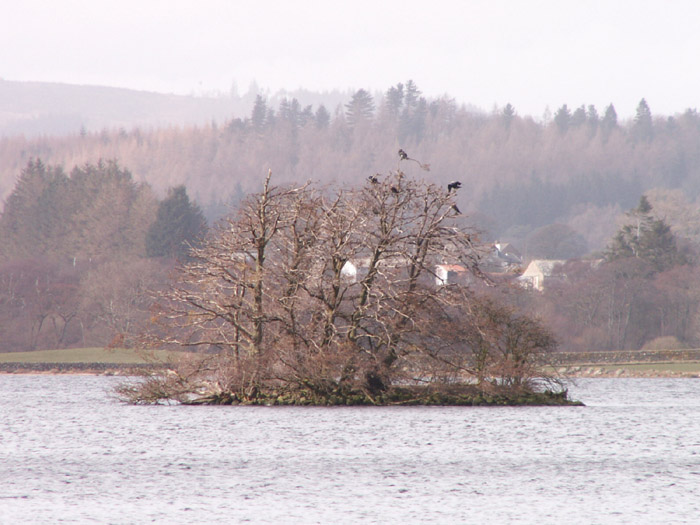 Loch Kindar (Crannog) by rockartwolf