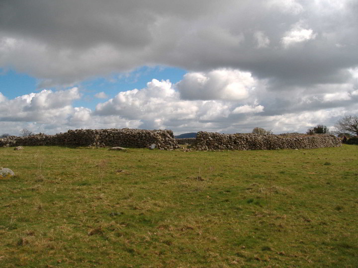 Rath Gael (Stone Fort / Dun) by bawn79