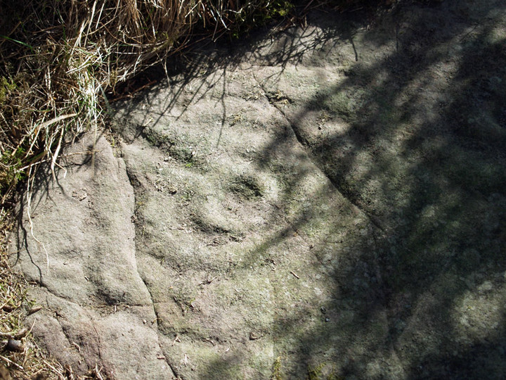 Weetwood Moor (Cup and Ring Marks / Rock Art) by rockartwolf