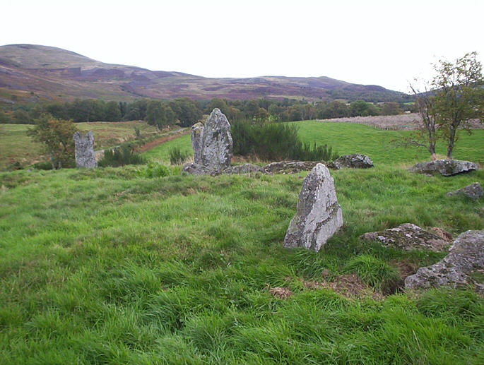 Colmeallie (Stone Circle) by hamish