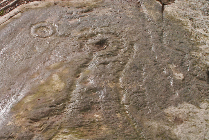 Blairbuy 6 (Cup and Ring Marks / Rock Art) by rockartwolf
