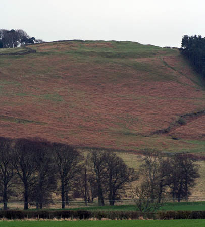 Clavering (Hillfort) by Hob