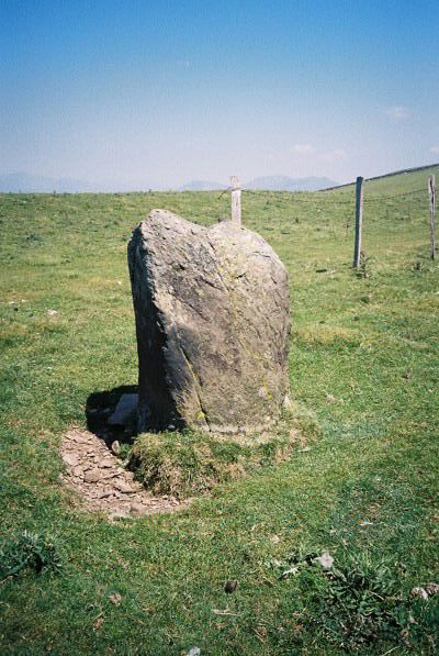 Moel Goedog Stone 1 (Standing Stone / Menhir) by Idwal