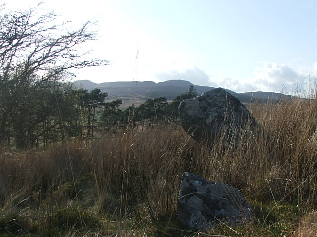 Maen Llwyd (Bronaber) (Standing Stone / Menhir) by postman