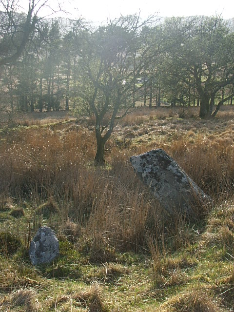 Maen Llwyd (Bronaber) (Standing Stone / Menhir) by postman