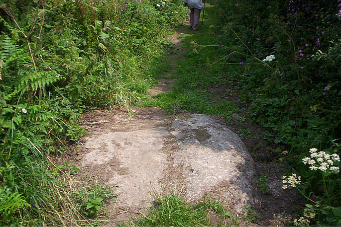 Boscawen-Un (footpath) (Standing Stones) by hamish