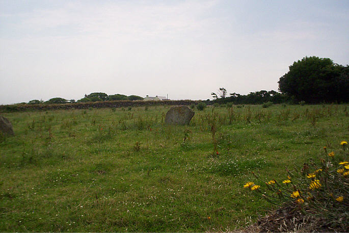 Nine Maidens (Troon) (Stone Circle) by hamish