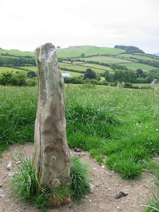 Corstown (Fore By.) (Standing Stone / Menhir) by ryaner