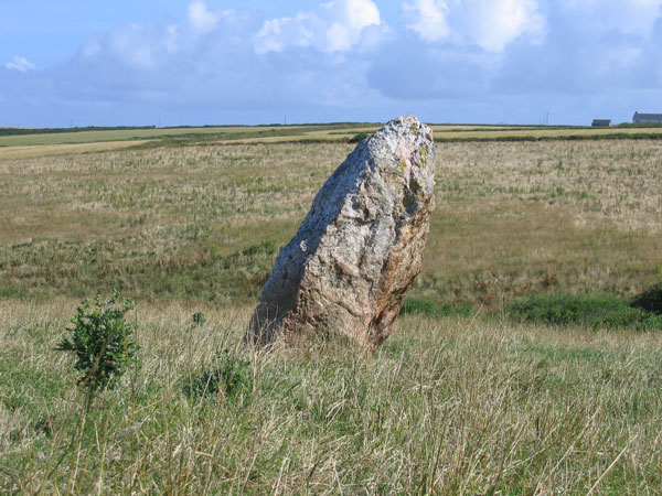 Treburrick Menhir (Standing Stone / Menhir) by ocifant