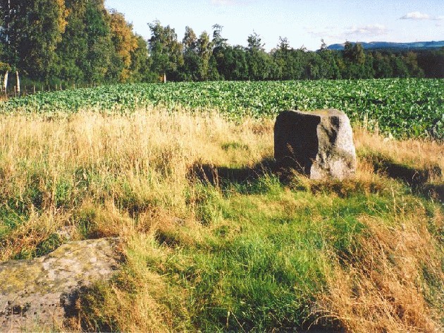 Colen Wood Stone Circle (Stone Circle) by Martin