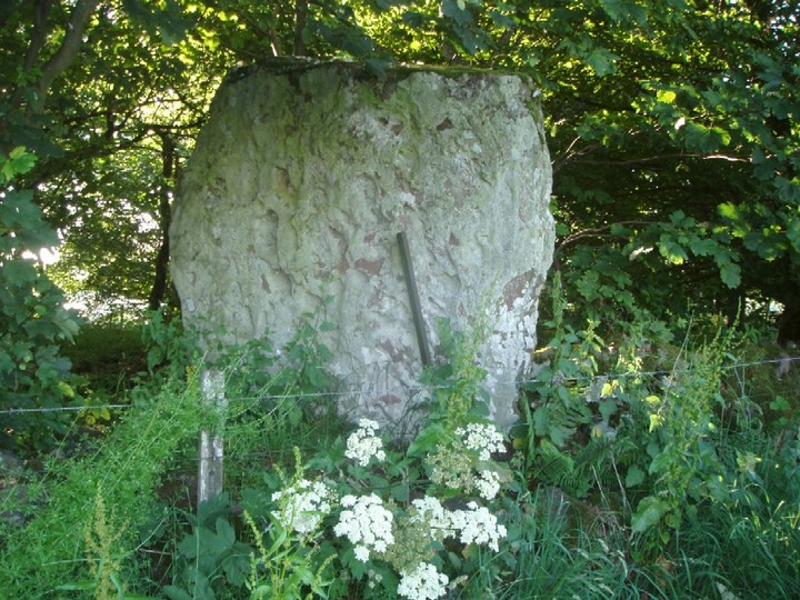 Glenhead Standing Stone (Standing Stone / Menhir) by Vicster