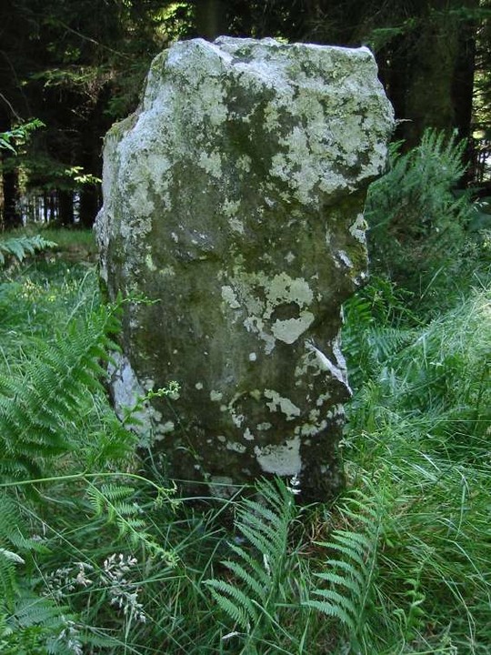 Boleycarrigeen (Stone Circle) by ryaner
