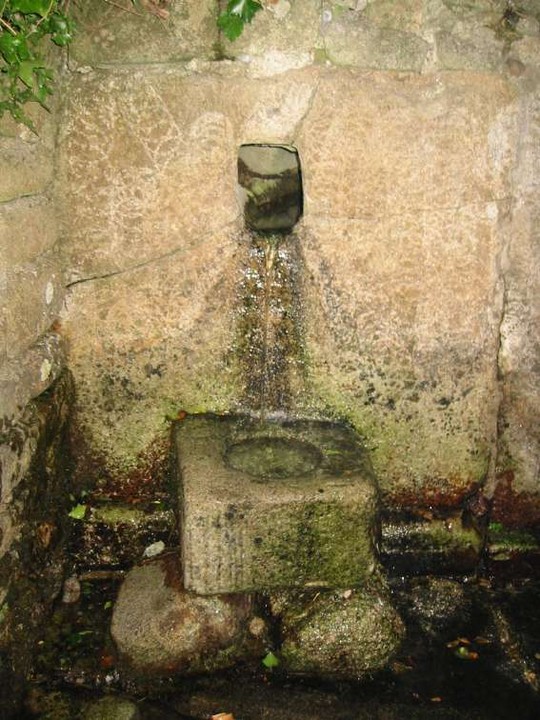 St Mullin's Well (Sacred Well) by ryaner